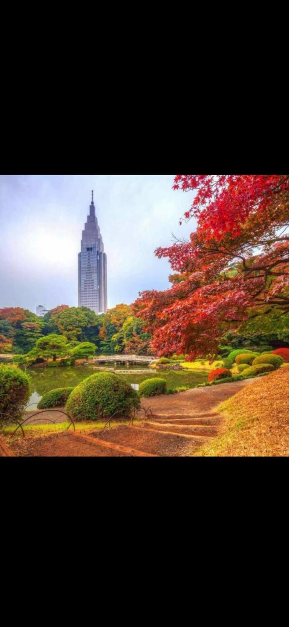 新宿庭院の屋-Shinjuku Garden Home -28 Square Meters King Size Bed Garden Room Tokio Exterior foto